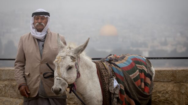 Ancient Middle East Disney Script?