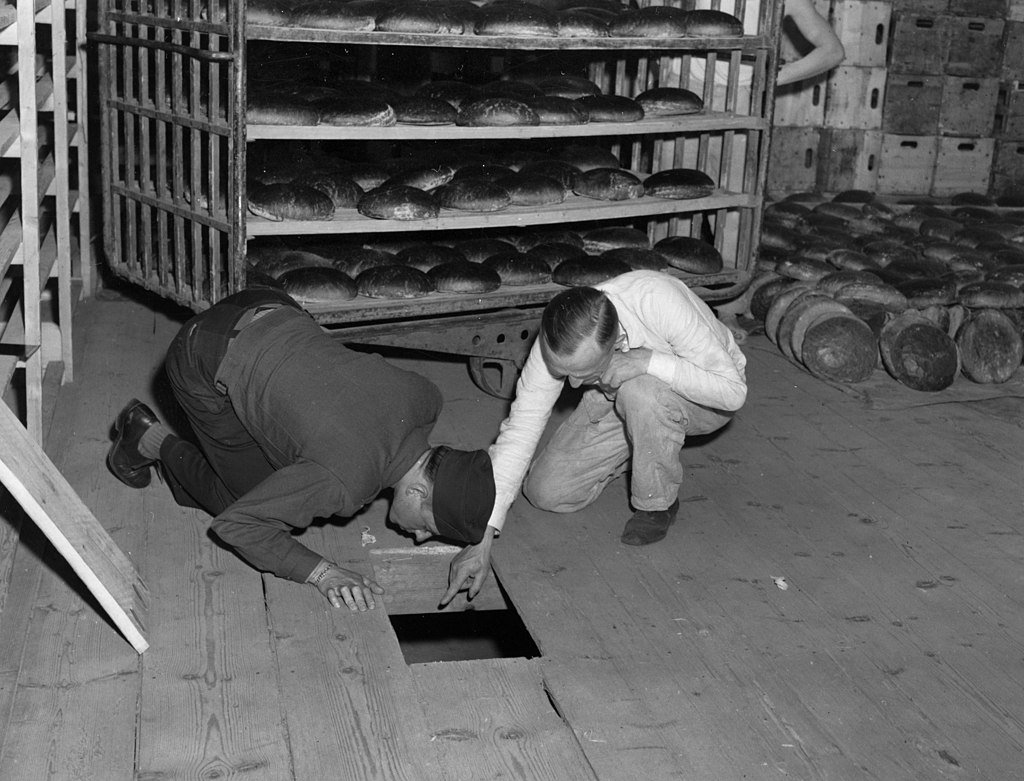 Poison bread was to be used in revenge plot against Nazi prisoners over the Holocaust.