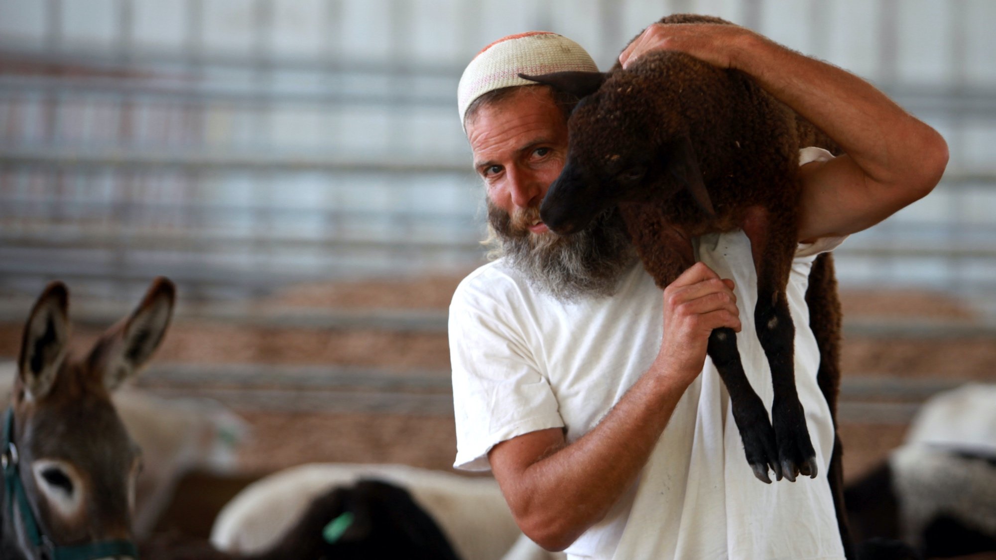 Spiritual or Material? What’s More Important?