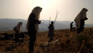 How Much Should Believers Be Involved in This World?