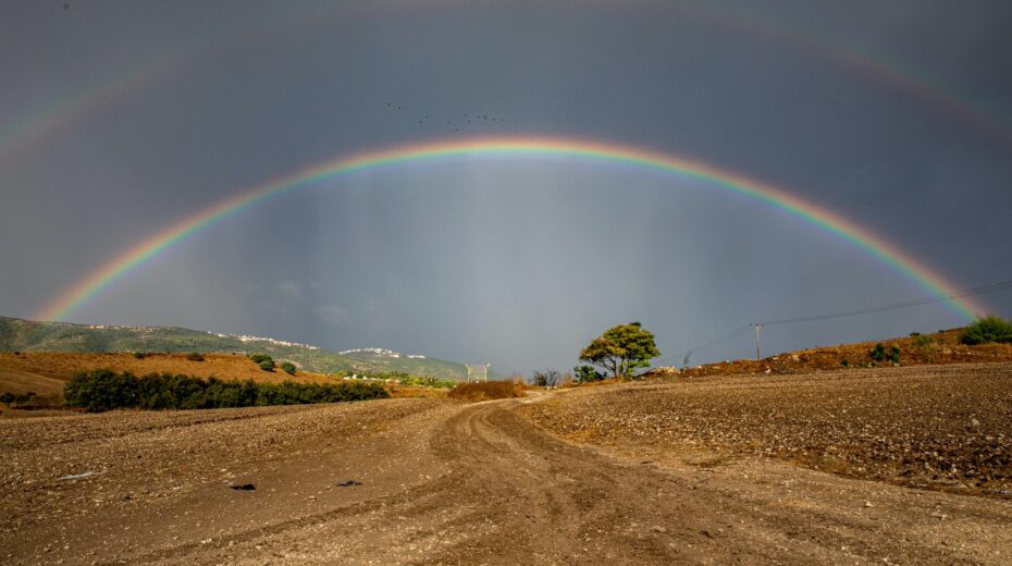 What Did God Actually Create? God's creation