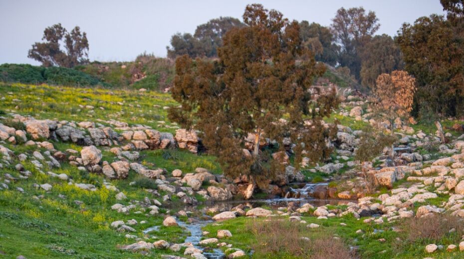 Gallery: A Stunning Walk Through the Golan Heights Golan Heights in Spring