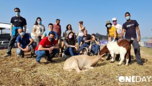 Volunteering in Israel just got a lot more interesting.