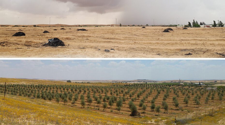 You are Bringing Life to Israel’s Desert!