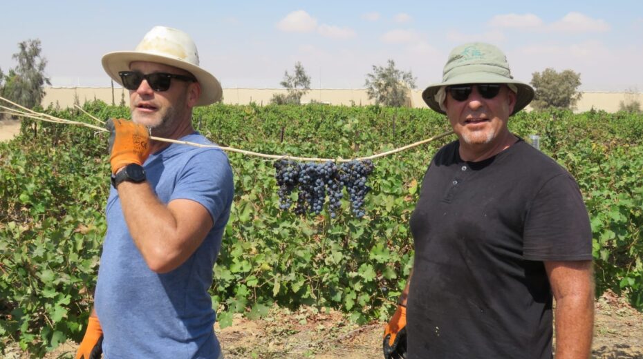 At the Israel Today vineyard