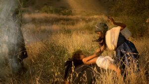 Israeli Artist Brings the Bible to Life