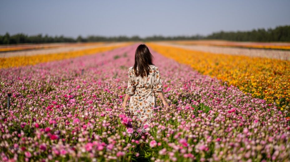 Israel in Full Bloom Flowers in Israel