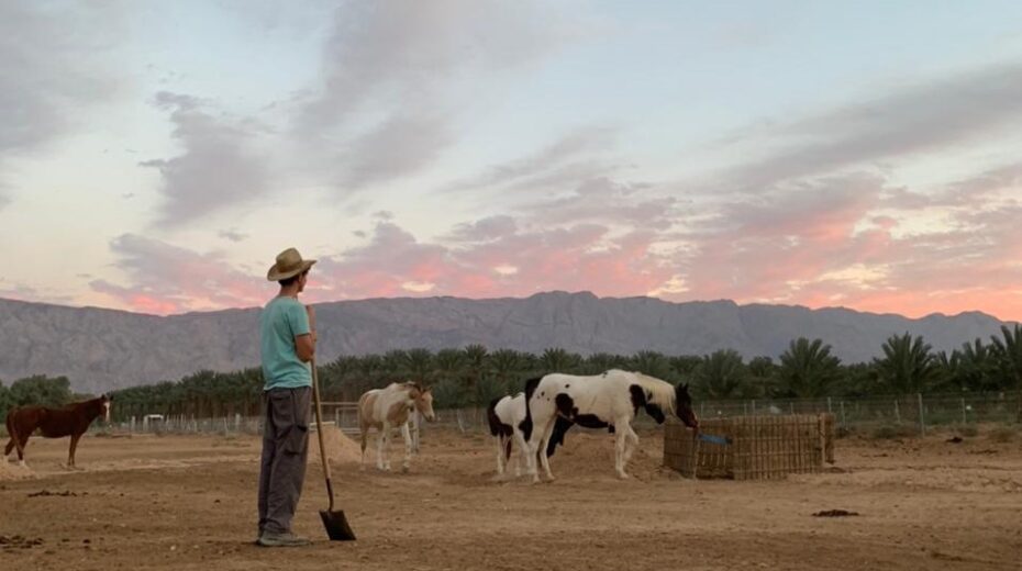 Israel's Kibbutz Movement relies on foreign volunteers.