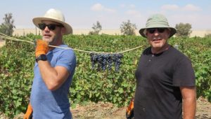 Israel Today Editor-in-Chief Aviel Schneider (left) bringing a good report from the Israel Today vineyards in the Negev desert.