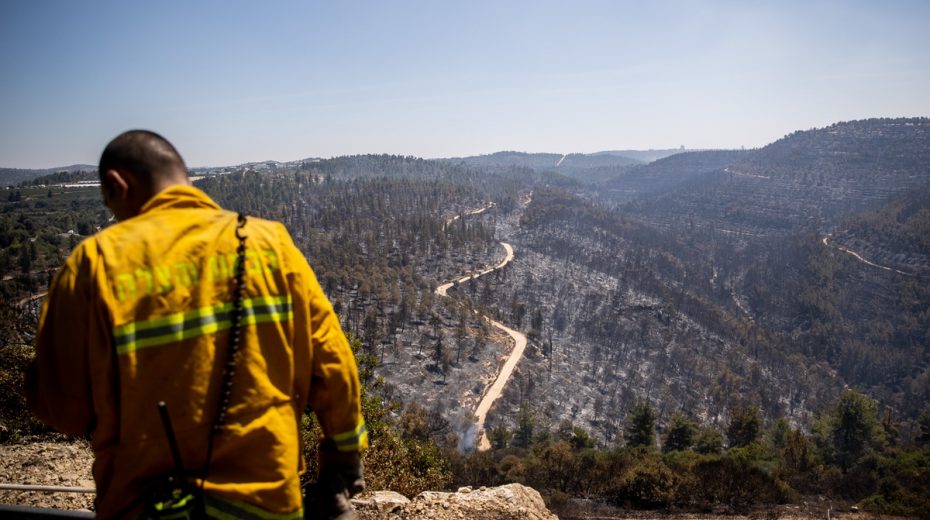 Jerusalem wildfire was caused by arson