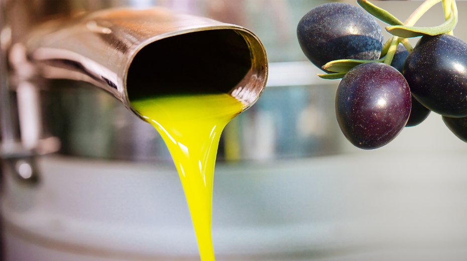 The Cause: Our 2022 Olive Harvest and Olive Press