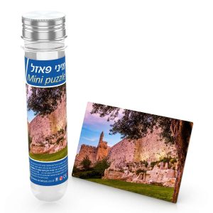 Citadel of David Mini puzzle