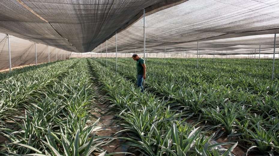 Israel is eager to show off its innovative means of addressing climate change.