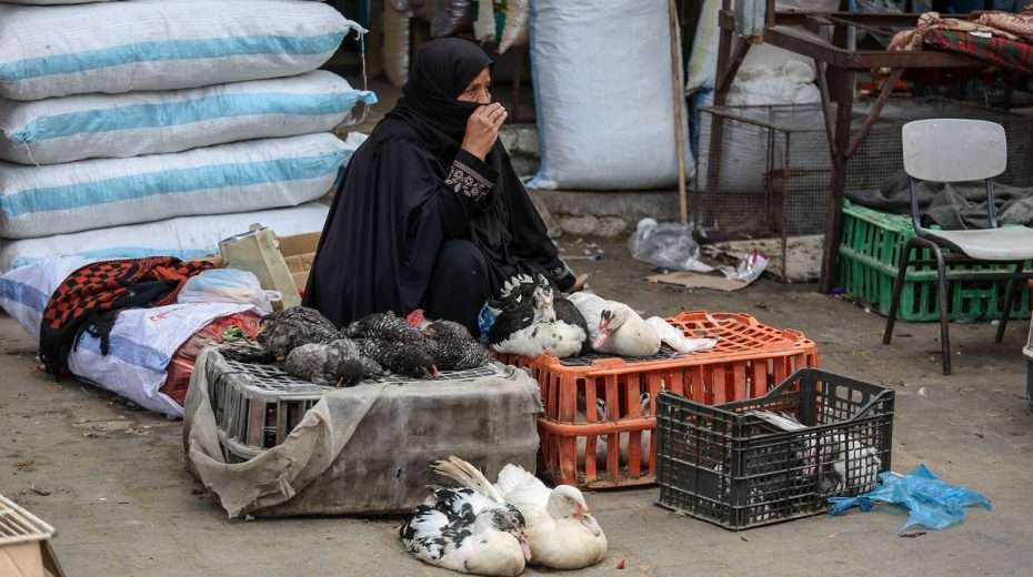 Hamas' corruption, mismanagement and singular focus on fighting Israel has left Gaza in a pit of despair.