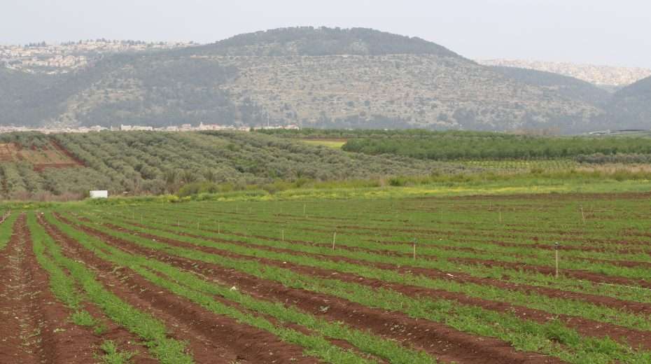 New Light Has Come to Galilee