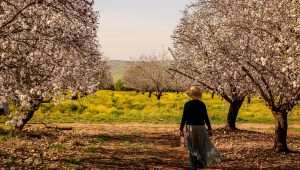 This is a special time of year when we reflect on God's creation.