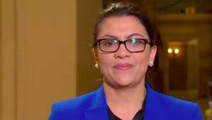 Rep. Rashida Tlaib (D-Mich.). Source: Screenshot.