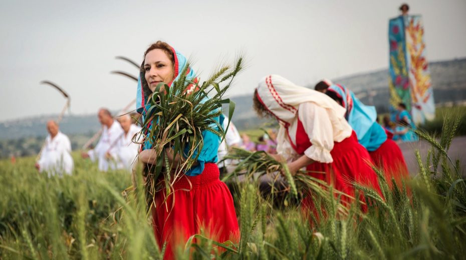 The Scroll of Ruth: From Full to Empty to Full The story of Ruth and Naomi is recounted on Shavuot in Jewish tradition. Here we see a modern Shavuot/Pentecost harvest ceremony at Kibbutz Ramat Yochanan. Photo by Hadas Parush/Flash90