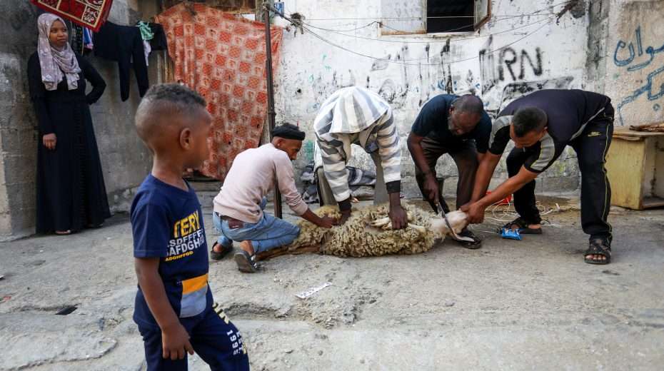 Tachles With Aviel – Today the ‘Festival of Sacrifice’ Is Celebrated. But Which?