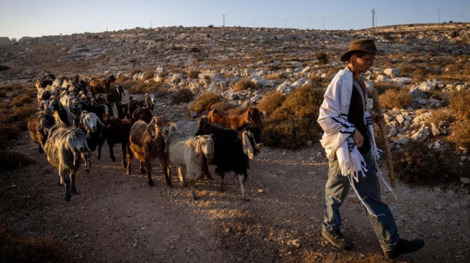The United States decides to harass Israel Jewish shepherds in Samaria have come under regular attack by Palestinians. Photo by Chaim Goldberg/Flash90