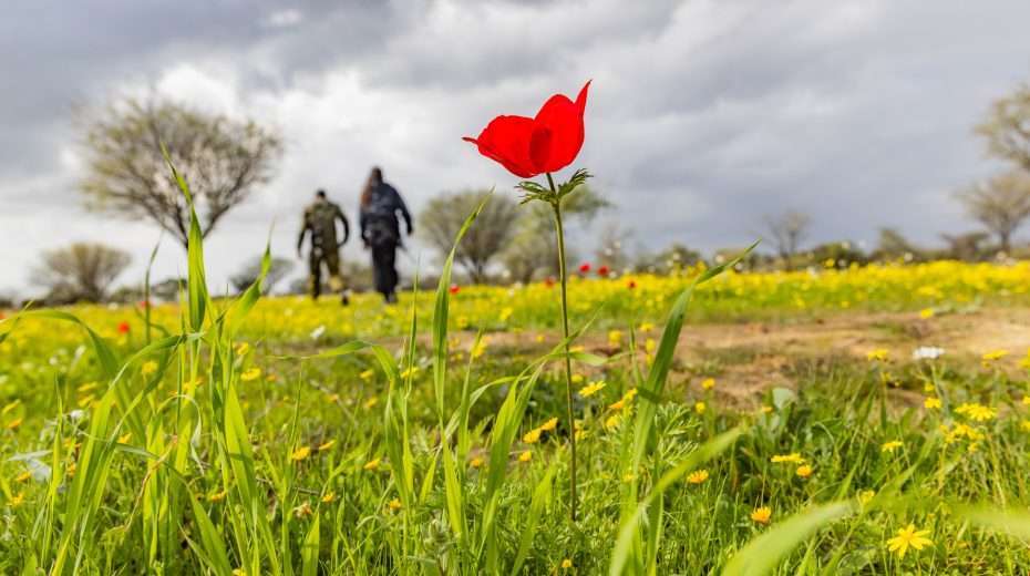 Israeli soldiers visit the scene of the massacre at the Nova music festival in Re'im, near the Israel-Gaza border, January 14, 2024. Photo: Chaim Goldberg/Flash90
