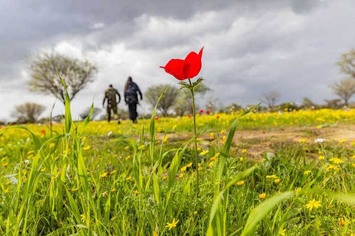 Israeli soldiers visit the site of the Nova music festival massacre, in Re'im, near the Israeli-Gaza border, January 14, 2024. Photo by Chaim Goldberg/Flash90