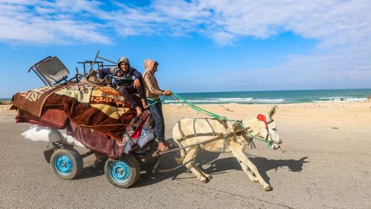 Palestinians fleeing from the fighting parts of Khan Yunis to the Al Mawasi area in the southern Gaza Strip, January 25, 2024. Photo by Atia Mohammed/Flash90