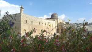 Al Aqsa Mosque at the southern end of Jerusalem's Temple Mount. Photo by Charles Gardner