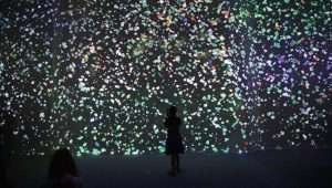 Did God create this entire universe just for us? Or are there others? And does it matter? Photo by Shir Torem/Flash90