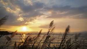 The Sea of Galilee, Feb. 22, 2024. Photo by Michael Giladi/Flash90.