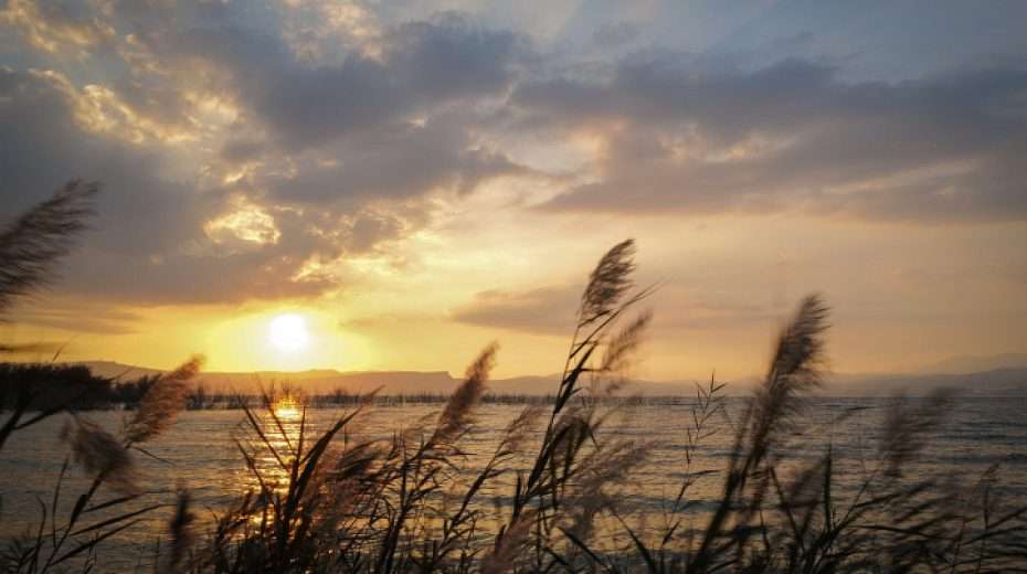 The Sea of Galilee, Feb. 22, 2024. Photo by Michael Giladi/Flash90.