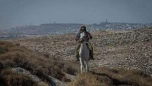 A Jewish settler rides his horse near the outpost of Ramat Migron on Sept. 8, 2023. Photo by Chaim Goldberg/Flash90.