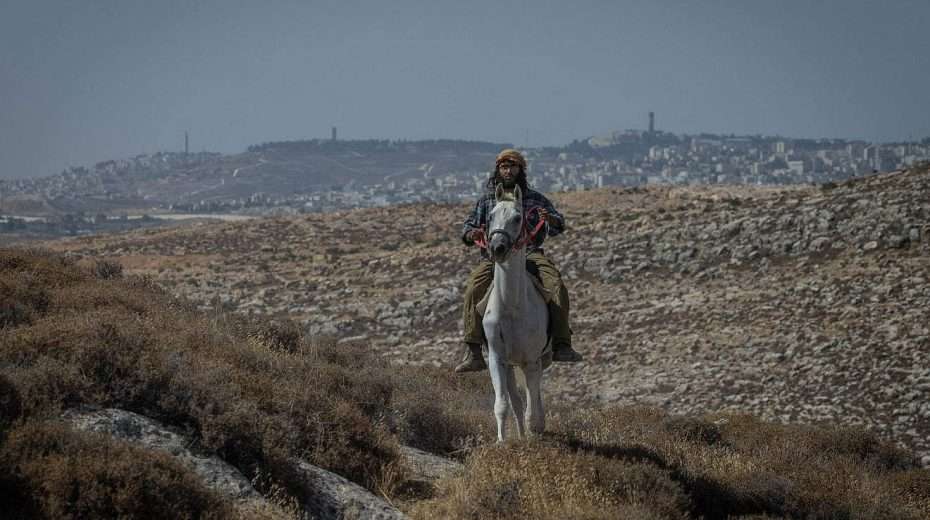 A Jewish settler rides his horse near the outpost of Ramat Migron on Sept. 8, 2023. Photo by Chaim Goldberg/Flash90.