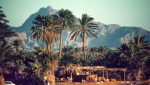 Is Egypt's Sinai Peninsula the true location of Mount Sinai? And does it matter? Photo by Moshe Shai/FLASH90