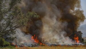 A massive fire sparked by Hezbollah missiles launched from Lebanon, near Kibbutz Kfar Szold, northern Israel, June 14, 2024. Photo by Ayal Margolin/Flash90.