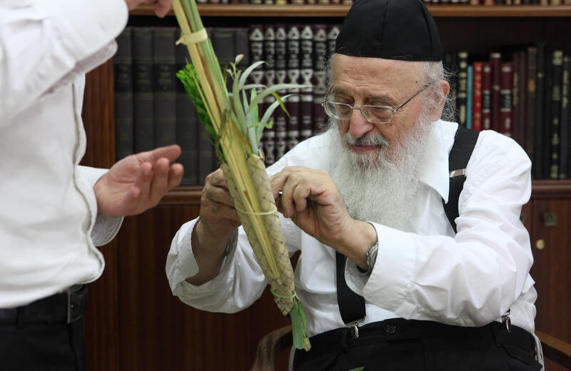 Rabbi Meir Tzvi Bergman inspecting Sukkot implements in 2008. Photo by Yaakov Naumi/Flash90