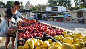 A woman shops at Katzrin's Tuesday Market on the Golan Heights, Aug. 27, 2024. Photo by Michael Giladi/ Flash90.