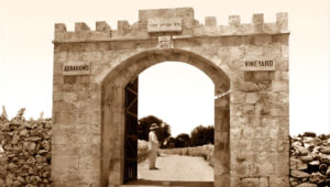 Abraham's Vineyard in central Jerusalem. Photo: Public domain