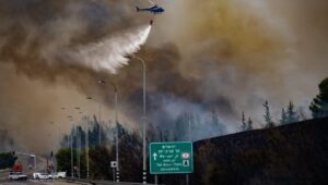 Forest fire near Latrun, April 30, 2025. Photo: Oren Ben Hakoon/Flash90