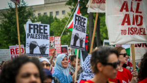 Pro-Palestinian demonstrators on Capitol Hill in Washington, DC. Photo by Arie Leib Abrams/Flash90
