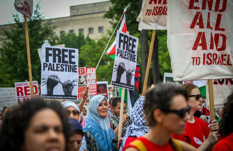 Pro-Palestinian demonstrators on Capitol Hill in Washington, DC. Photo by Arie Leib Abrams/Flash90