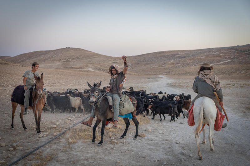 Jewish shepherds in the biblical heartland are a constant target of Palestinian violence. Photo by Chaim Goldberg/Flash90