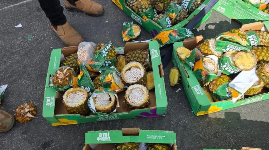 During a check at the Lachish crossing in southern Israel on July 8, 2026, Israeli authorities discovered thousands of cigarettes hidden in a shipment of pineapples destined for the Gaza Strip. Image credit: Coordinator of Government Activities in the Territories.