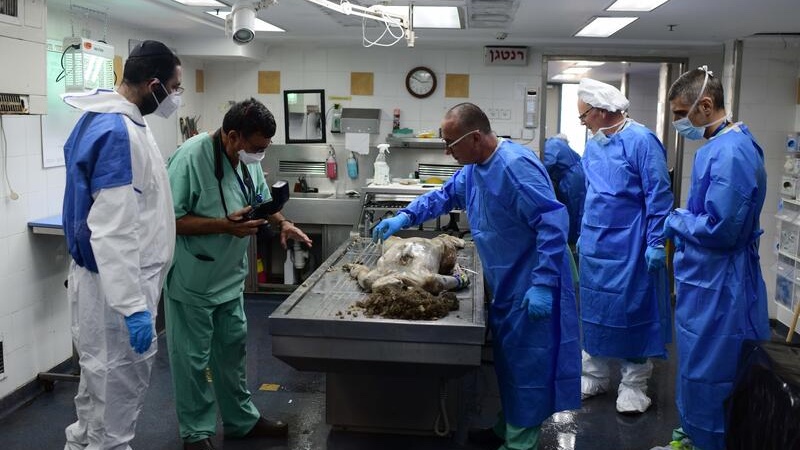 Workers at the Abu Kabir Forensic Institute in Tel Aviv where hundreds of dead bodies arrived since the start of the war with Gaza, October 16, 2023. Photo by Tomer Neuberg/Flash90