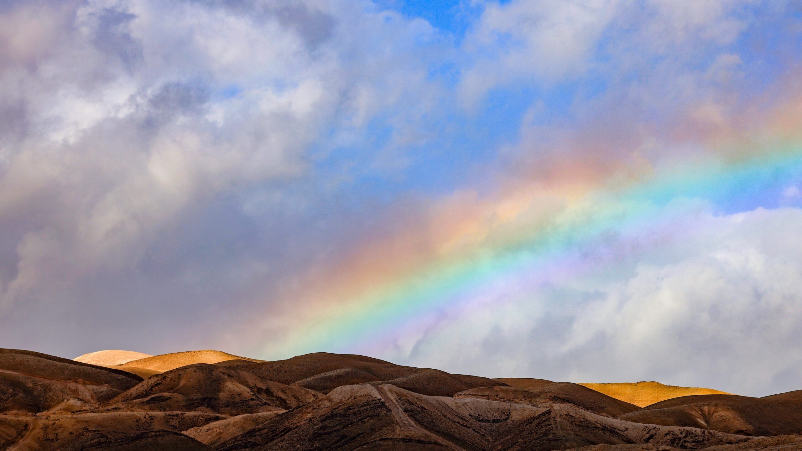 A rainbow over the Judean Desert. In the Bible, it is the sign of God's eternal covenant with Noah and all living creatures. Photo: Yossi Zamir/Flash90